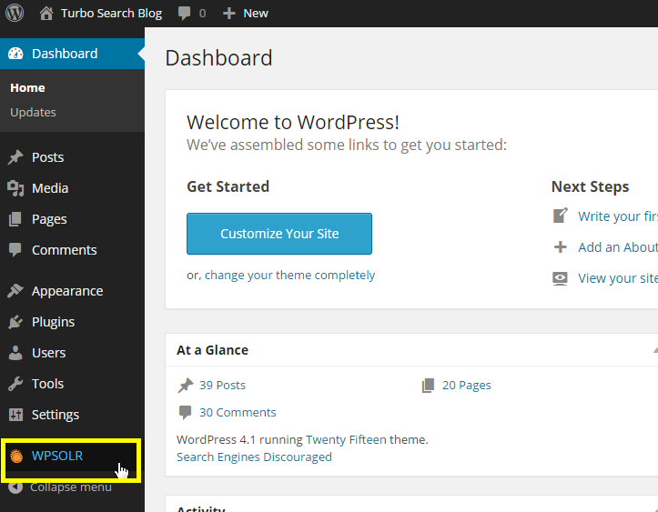 WPSolr admin page WPSolr admin page
